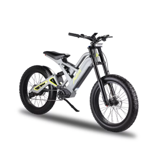 Электровелосипед Mukuta Knight