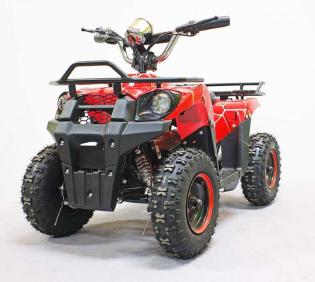 Квадроцикл GreenCamel Гоби K40 (36V 800W R6 Цепь)