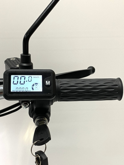 Электровелосипед GreenCamel Транк Монстр PRO (R16FAT 800W 48V15Ah)