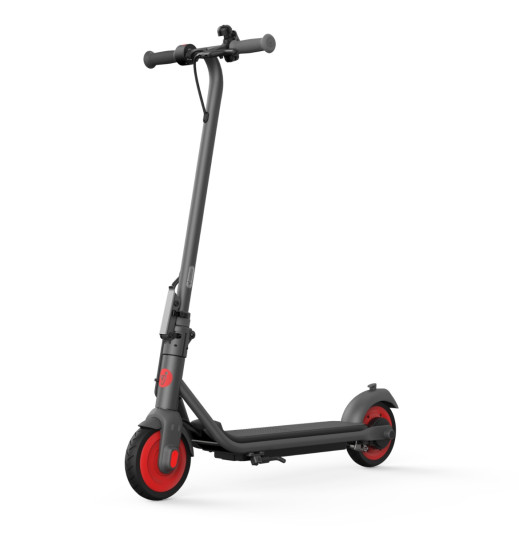 Электросамокат Ninebot KickScooter C20